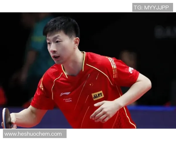 深圳乒乓球队在奥运会上的速度表现分析与点评