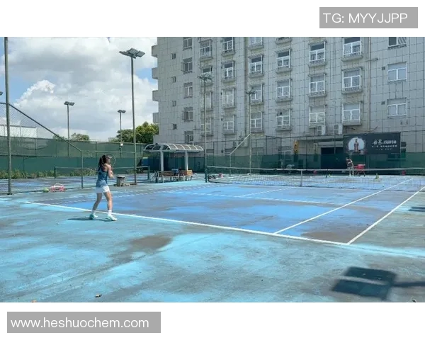 北京网球队区域防守策略解析与深度剖析网球战术的奥秘