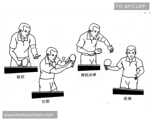 广州乒乓球队总决赛战术解析与表现评估的深度分析