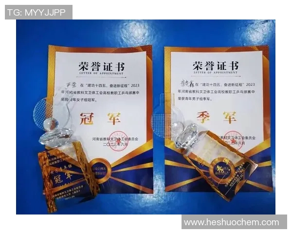 成都乒乓球队在全国团队协作排行榜中荣获第八名的佳绩分析