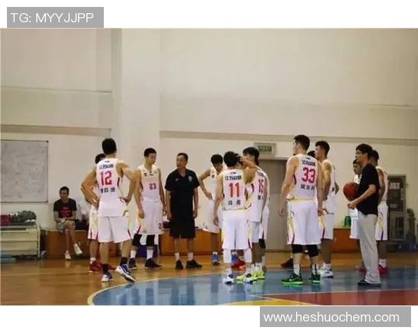 深入分析上海篮球队的技术特点与战术运用探讨