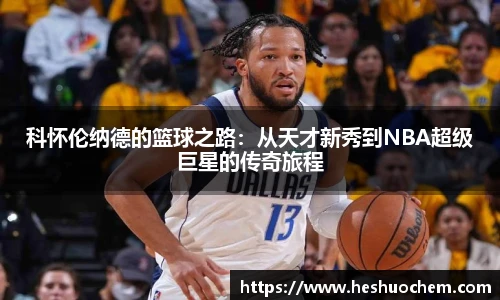 中欧体育网址