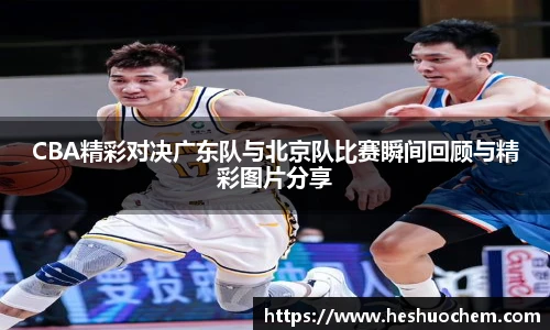 中欧体育官网
